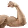 BadynBiceps
