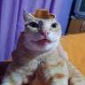 Ruubzy