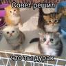 unluckи