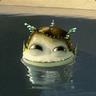 Krocs