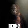 Лоботомия