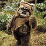 Ketamine Dealer Ewok
