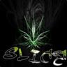 Slice M!XN3
