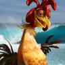 Chicken Joe