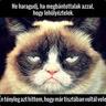 ๒๏๏รt ๓ครtєг
