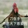 肯打鸡biubiubiu