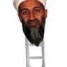 Osama Bin Ladder