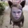 Джонни синс
