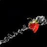 AspID.the