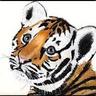 LittleTiger