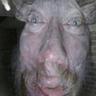 pigman