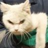 Angry