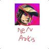nerv prokis