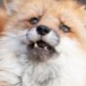 LuckyPantsUwU