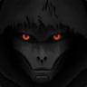 THE WATCHER