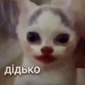 Санстрайк на киев