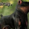 adrog