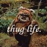 An Angry Ewok