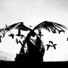 TheCrowMax©®