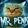 Mr. Penis