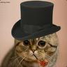 Doctor Wotson