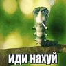 chipsikki