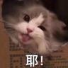 王权缺钱1030