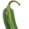 Just your standard jalapeño
