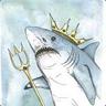 KingShark156