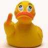 duuck