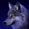 WolfGamerRo