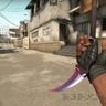 Karambit FN Disco Party