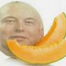 melon musk