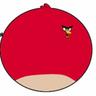 IM DA BIGGEST BIRD.