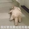 Great Pyrenees