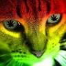 _\|/_GATO MAKONHA_\|/_