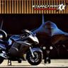 Blackbird -M-