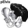pElvis