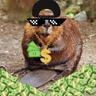 Juan Son