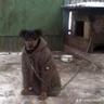 egor