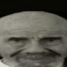 виктор скамини