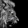 LION PUNCH