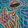 pilZ