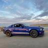 Mustang Mitch
