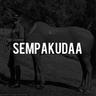 smpkd
