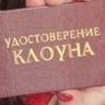 Пачка чепсоу