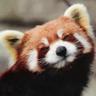 Pandor, Lord of Snaccs