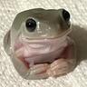 Frognificent
