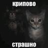 мистер буба шлёп прайм