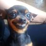 pecinha